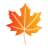 Canadian maple leaf
